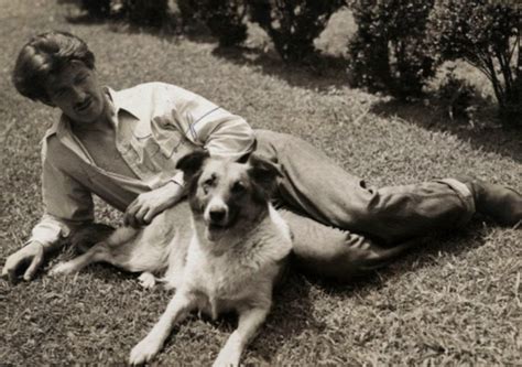 What Type Of Collie Was Lassie The True Story Behind The Famous Collie