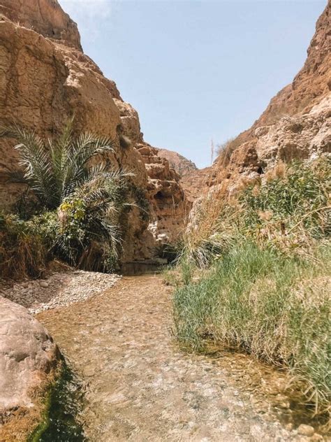 Wadi Shab Hike Discover One Of The Best Wadis In Oman