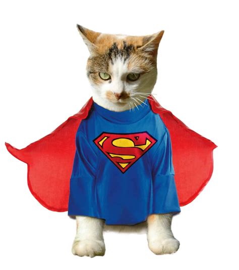 Superman Cat Costume Best Cat Costumes For Halloween 2020 Popsugar