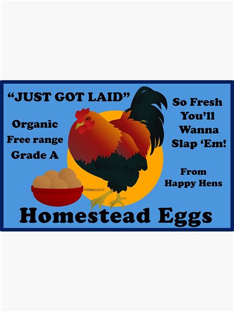 Homestead Eggs Just Got Laid Sticker For Sale By Funkilymade