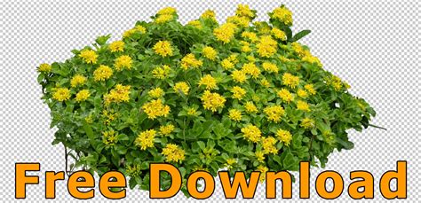 Cyclist icon downhill icon adventure icon. Freigestellte Blumen (PNG) - Kostenloser Download