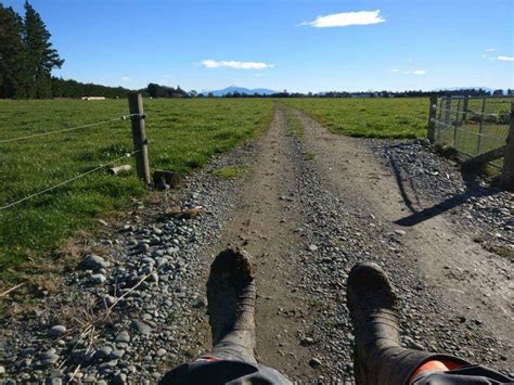 Berumur di bawah 55 tahun. Visa Kerja Sambil 'Travel' Di New Zealand Kembali Dibuka ...
