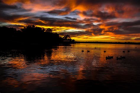 Colorful Lake Sunset With Ducks Etsy
