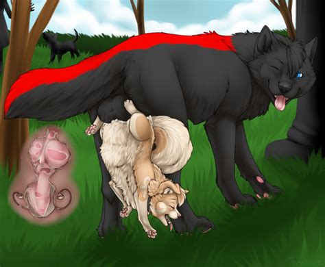 Rule 34 2014 Animal Genitalia Balls Black Fur Canine Canine Penis