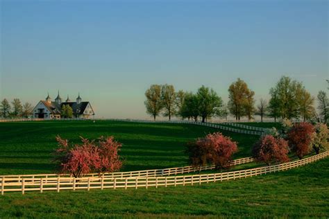 Famous Horse Farms In Lexington Feliks Zeki