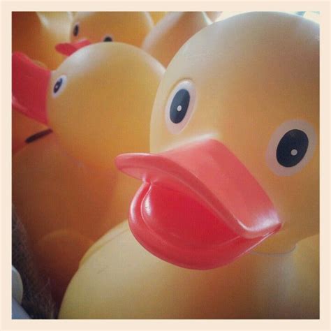 Rubber Ducky You Re The One Who Makes Bath Time So Much Fun Rubber Ducky Ducky Rubber Duck