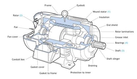 Motorcycle Diagram With Label