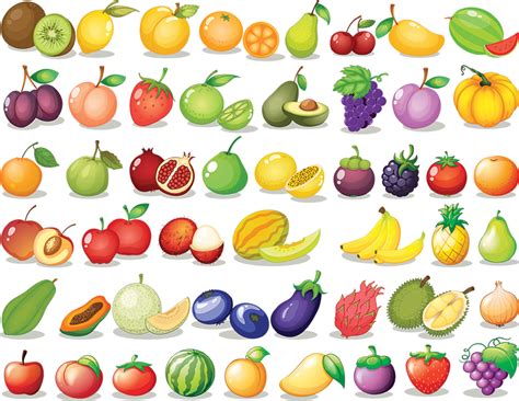 Find My Fruits Find My Fruits