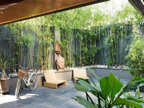 Discover the best bamboo plants for growing in your garden. A great idea for a small private yard - dark tall walls ...