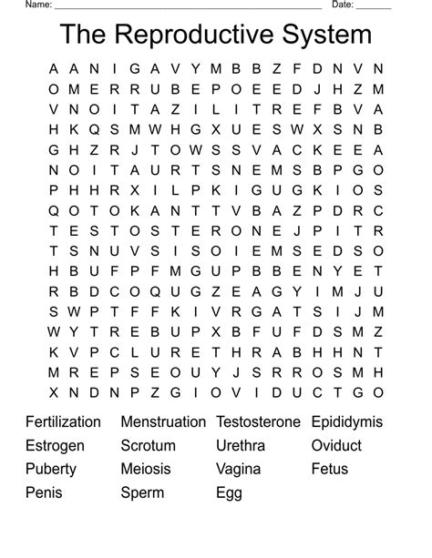 the reproductive system word search wordmint