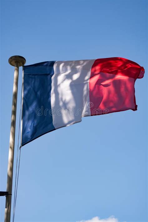 130 Vertical Tricolour Photos Free And Royalty Free Stock Photos From