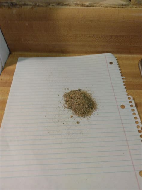 this is how I make my shroom chocolate : r/shrooms