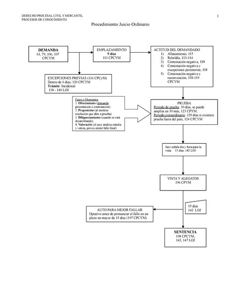 Esquema De Juicio Ordinario Civil Codigo Procesal Civil Y Mercantil Images