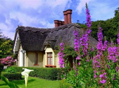 Killarney Kerry County Cottage Garden Irish Cottage Cottage
