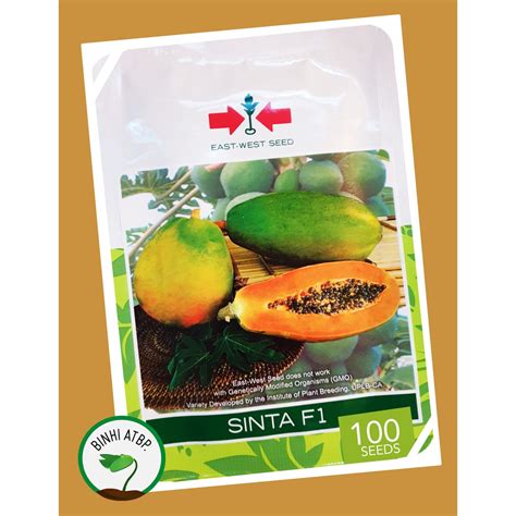 East West Sinta F1 Papaya Seeds 100 Seeds Pack Shopee Philippines