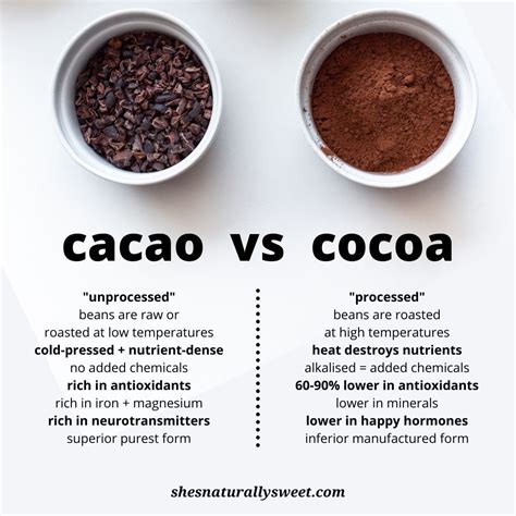 Cacao Vs Cocoa Shes Naturally Sweet