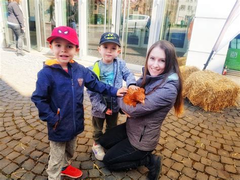 Erhalten sie immer die neuesten angebote. Wohnung mit Huhn zu vermieten - Erlensee Aktuell