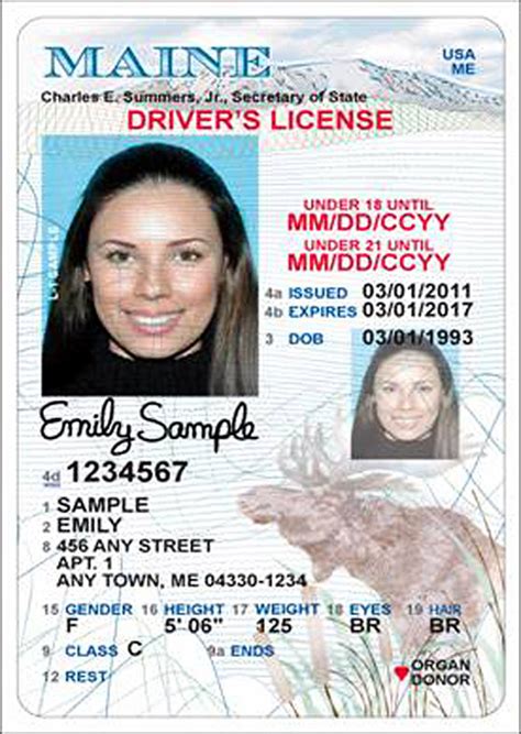 You can apply for a new york identification card at any age. New Maine license unveiled - Portland Press Herald