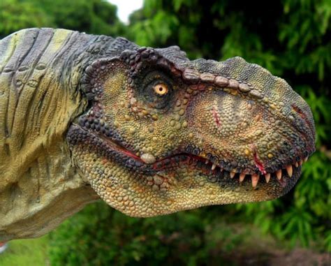 T Rex Male Tlw By Manusaurio On Deviantart Jurassic Park Poster