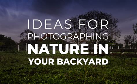 Ideas For Photographing Nature In Your Backyard — Beach Camera