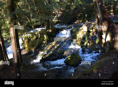 Panther Creek Falls Ford Pinchot National Forest Washington State