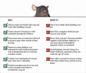 Zoonotic Rodent Diseases