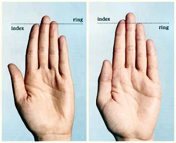 Significance Of Finger Length