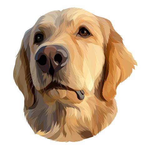 Hidayatcartoon I Will Draw Your Pet Into A Vector In 24 Hours For 5