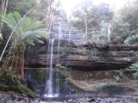We did not find results for: Russell Falls Mount Field National Park Tasmania Australia ...