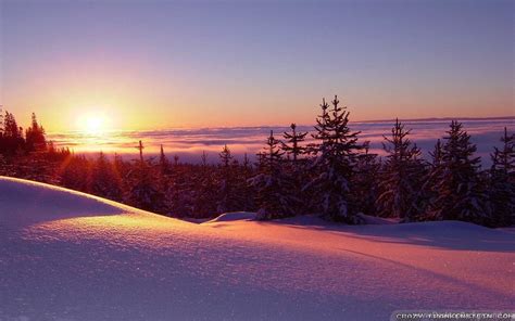 Widescreen Winter Sunset Desktop Background 1902750 Hd Wallpaper