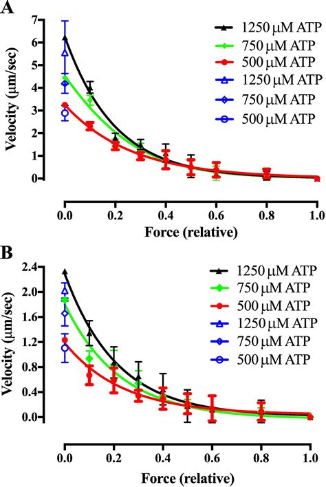 The load dependence and the force-velocity relation in intact myosin ...