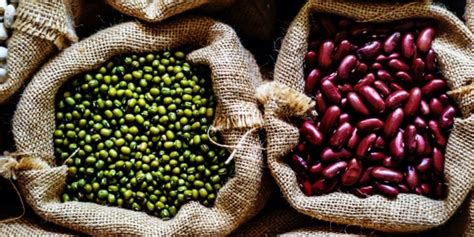 healthiest beans and legumes ferme daniel morel