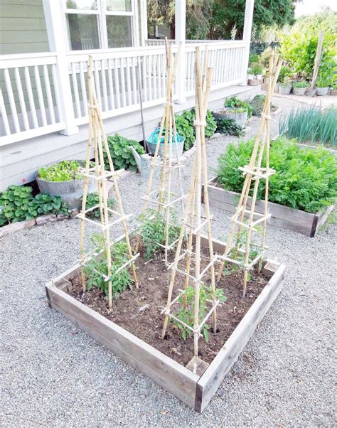 There are also smaller varieties of tomatoes for growing in pots and staking should work fine for them. 9 Amazing DIY Ideas - How To Make Tomato Trellis in 2020 ...