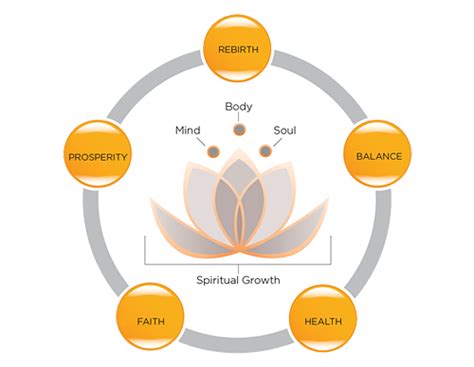 Meaning of the Lotus Flower - the Symbol of Serenity Now | Lotus flower meaning, Lotus meaning ...