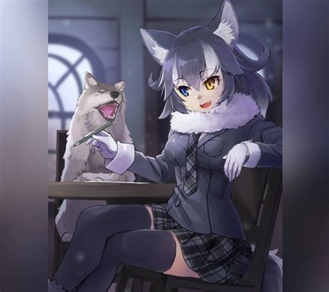 Gray Wolf ~ Kemono Friends Anime Wolf Girl Anime Furry Anime Neko