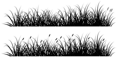 Vector Black Reeds Grass Silhouette For Background Or Banner 6758349