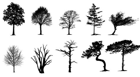 Vector Tree Silhouettes Pack Graphicsfuel