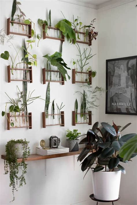 98 Of Our Favorite Plant Displaying Ideas Of All Time Indoor Plant