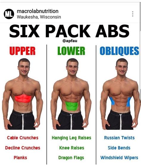 Pin By Samiaostadi On Flat Abs Muscle Groups To Workout Abs Workout