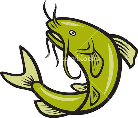 Catfish Fish Jumping Cartoon Royalty Free Stock Image Storyblocks