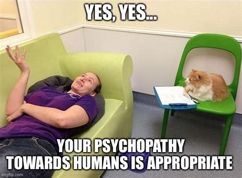 Cat Psychologist Imgflip