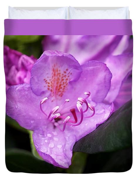 Lavender Rhododendron Duvet Cover For Sale By Rona Black