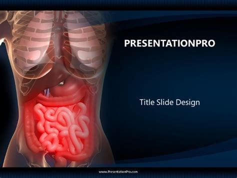 Human Anatomy With Organs Powerpoint Template Background