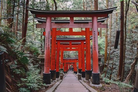 What Does Shinto Teach The History And Origins Of Japanese Faith