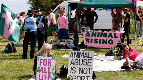 Epsom Derby Racecourse Invasion A Huge Success Animal Rising Uk