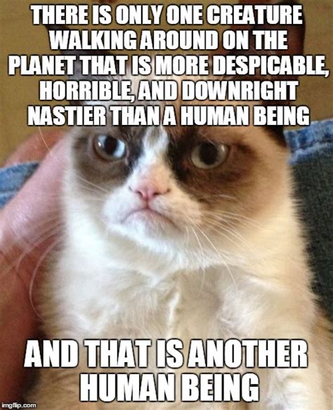 Grumpy Cat Wishes You A Happy Monday Imgflip