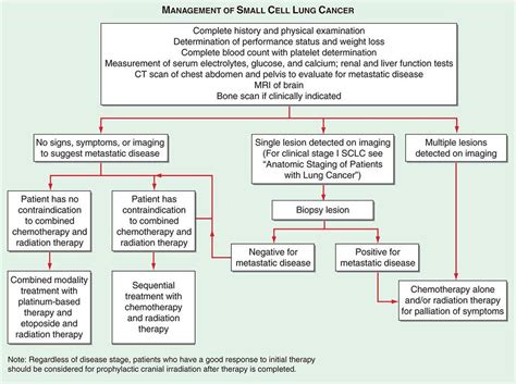 Lower Gastrointestinal Cancers Basicmedical Key