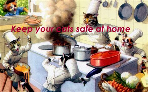 You can snag the tiny desktop system with 256gb of storage for $100 less than usual. 47 Top Images Can Cats Eat Avocado Reddit - Is The Grain ...