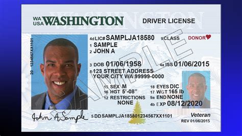 Free Nevada Drivers License Template