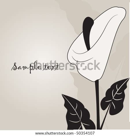 Vintage Greeting Card Calla Lily Flower Stock Vector 50354110